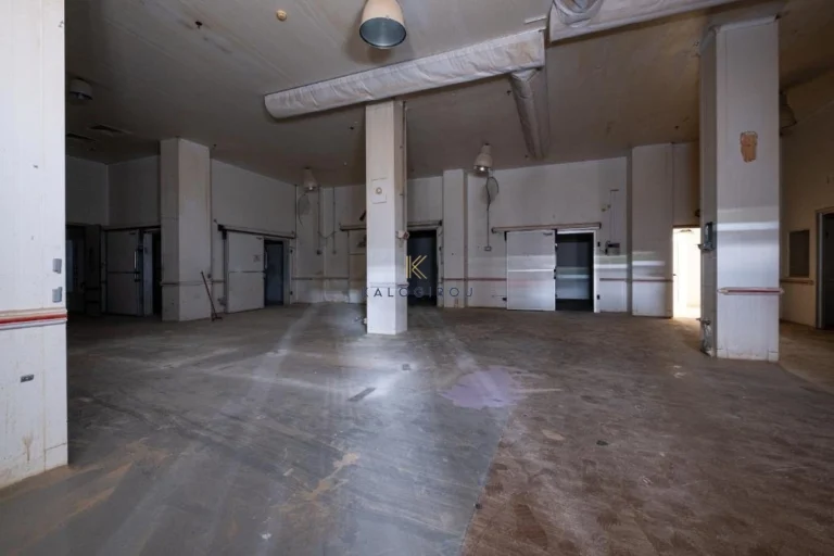 1375m² Commercial for Sale in Tremithousa, Paphos District