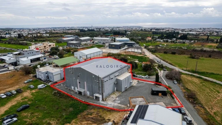 1375m² Commercial for Sale in Tremithousa, Paphos District