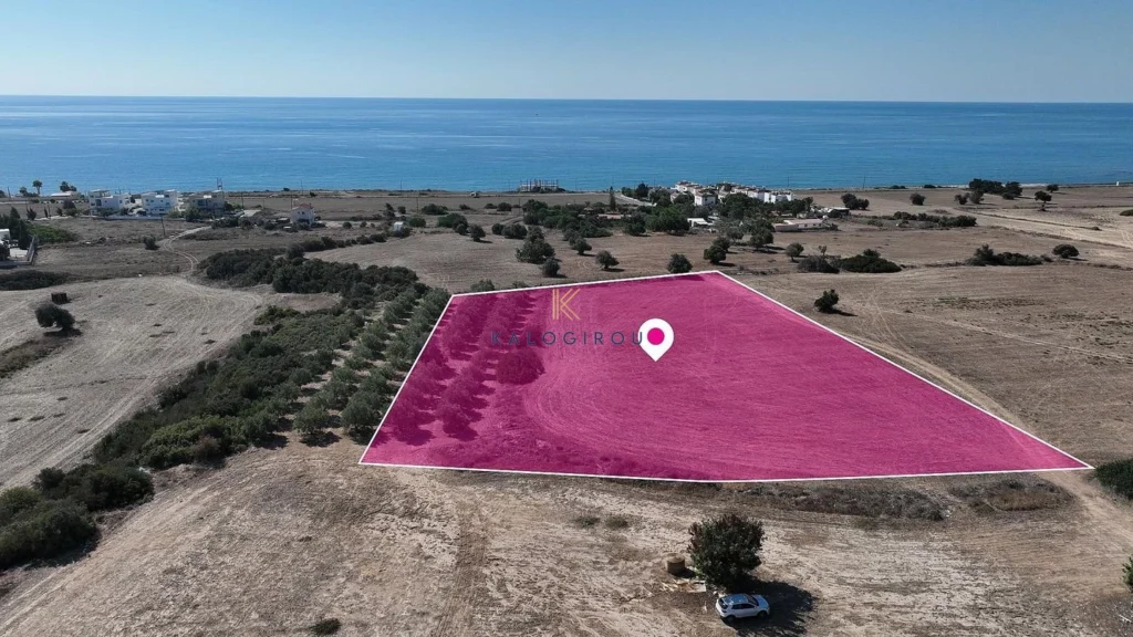 8,027m² Plot for Sale in Agios Theodoros, Larnaca District