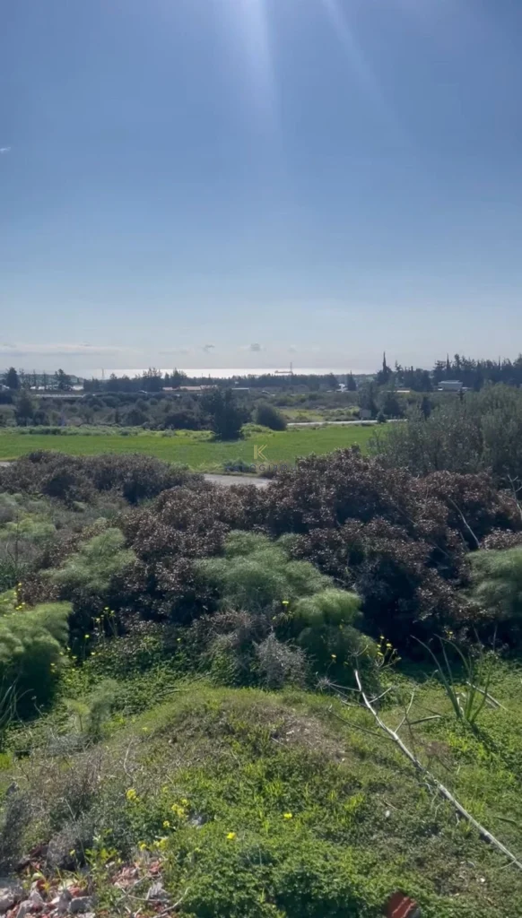 17,392m² Plot for Sale in Kalavasos, Larnaca District