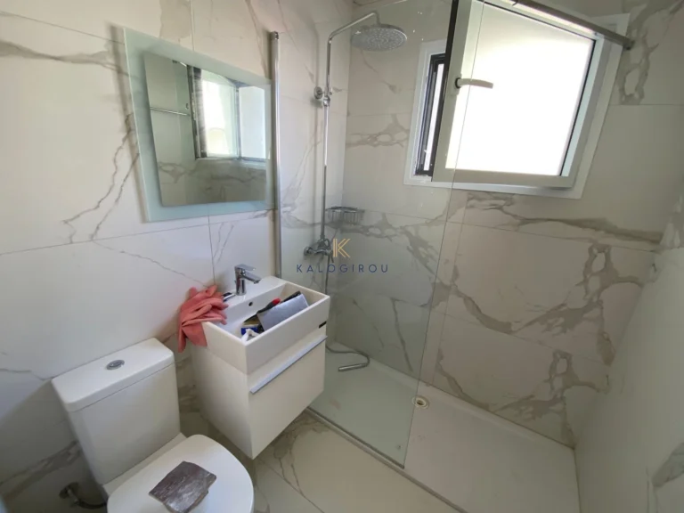 2 Bedroom Apartment for Rent in Dhekelia, Larnaca District