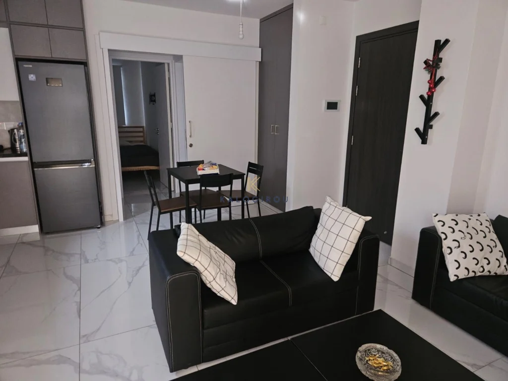 1 Bedroom Apartment for Rent in Larnaca District