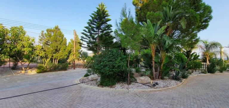 Most Expensive Villas for Sale in Larnaca