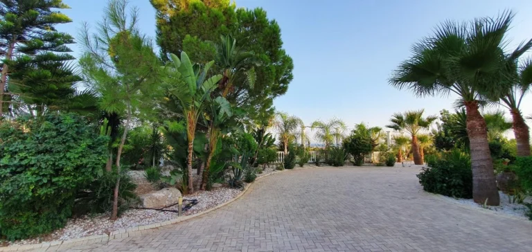 Most Expensive Villas for Sale in Larnaca