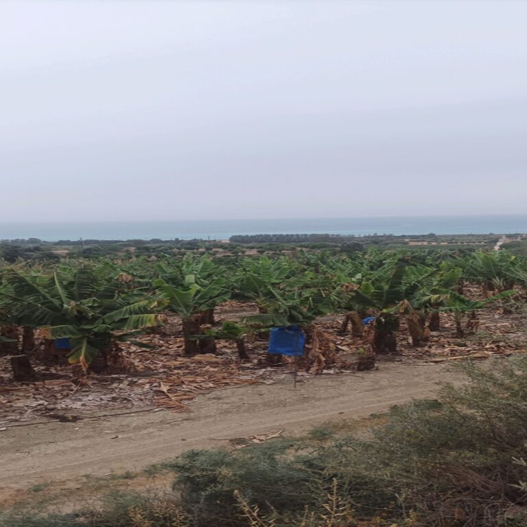 Plots of Land for Sale
