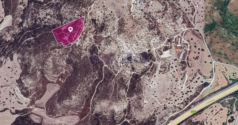 16,600m² Plot for Sale in Skarinou, Larnaca District