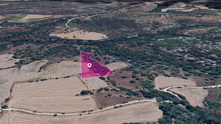 9,700m² Plot for Sale in Mousere, Paphos District