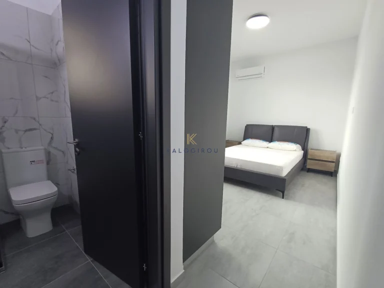 2 Bedroom Apartment for Rent in Larnaca District