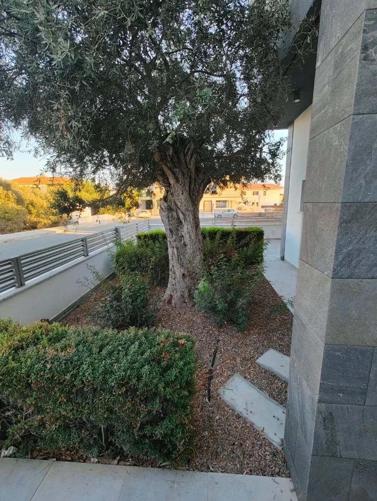 6+ Bedroom House for Sale in Erimi, Limassol District