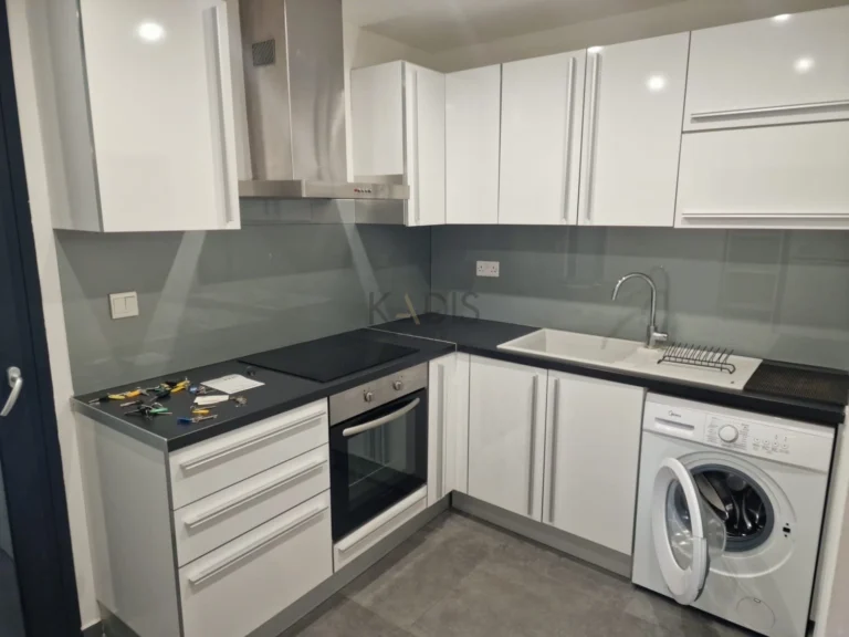 1 Bedroom Apartment for Rent in Nicosia District