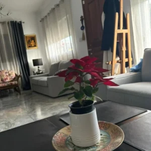 3 Bedroom House for Rent in Germasogeia – Tourist Area, Limassol District