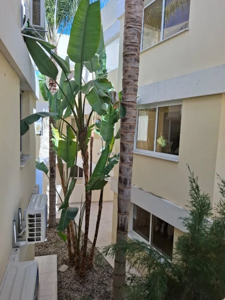Cheap Apartments for Rent Cyprus