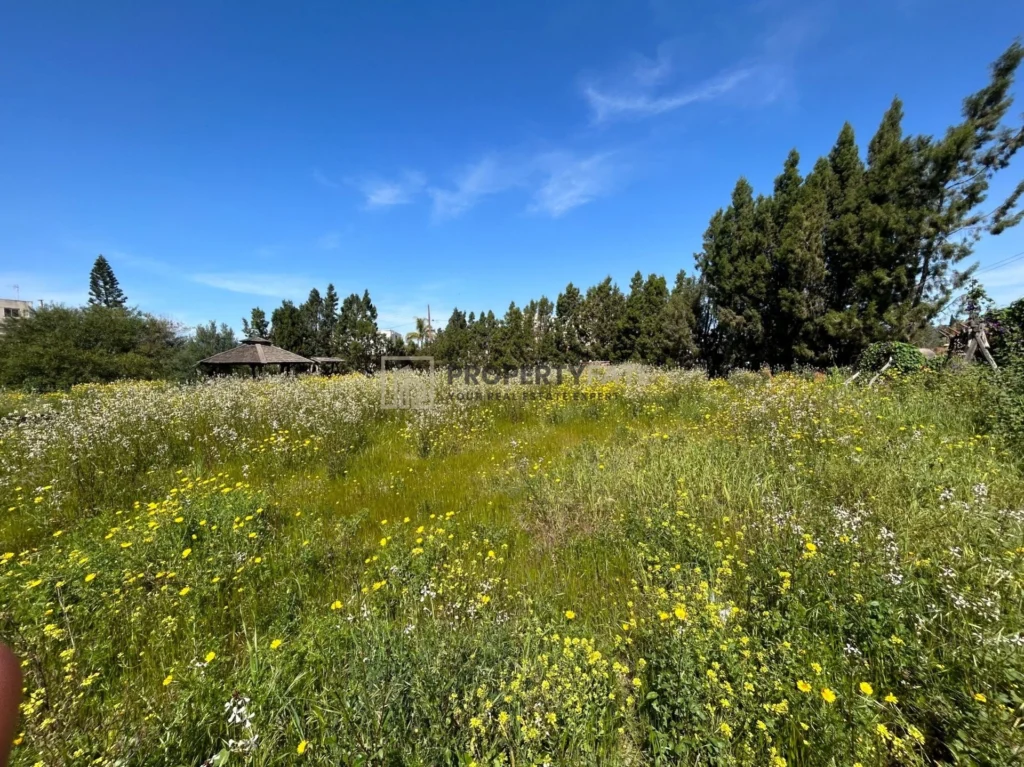 1,561m² Plot for Sale in Kato Polemidia, Limassol District