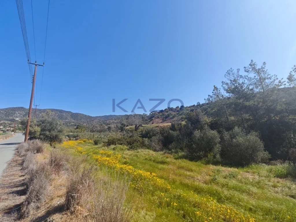 27,004m² Plot for Sale in Parekklisia, Limassol District