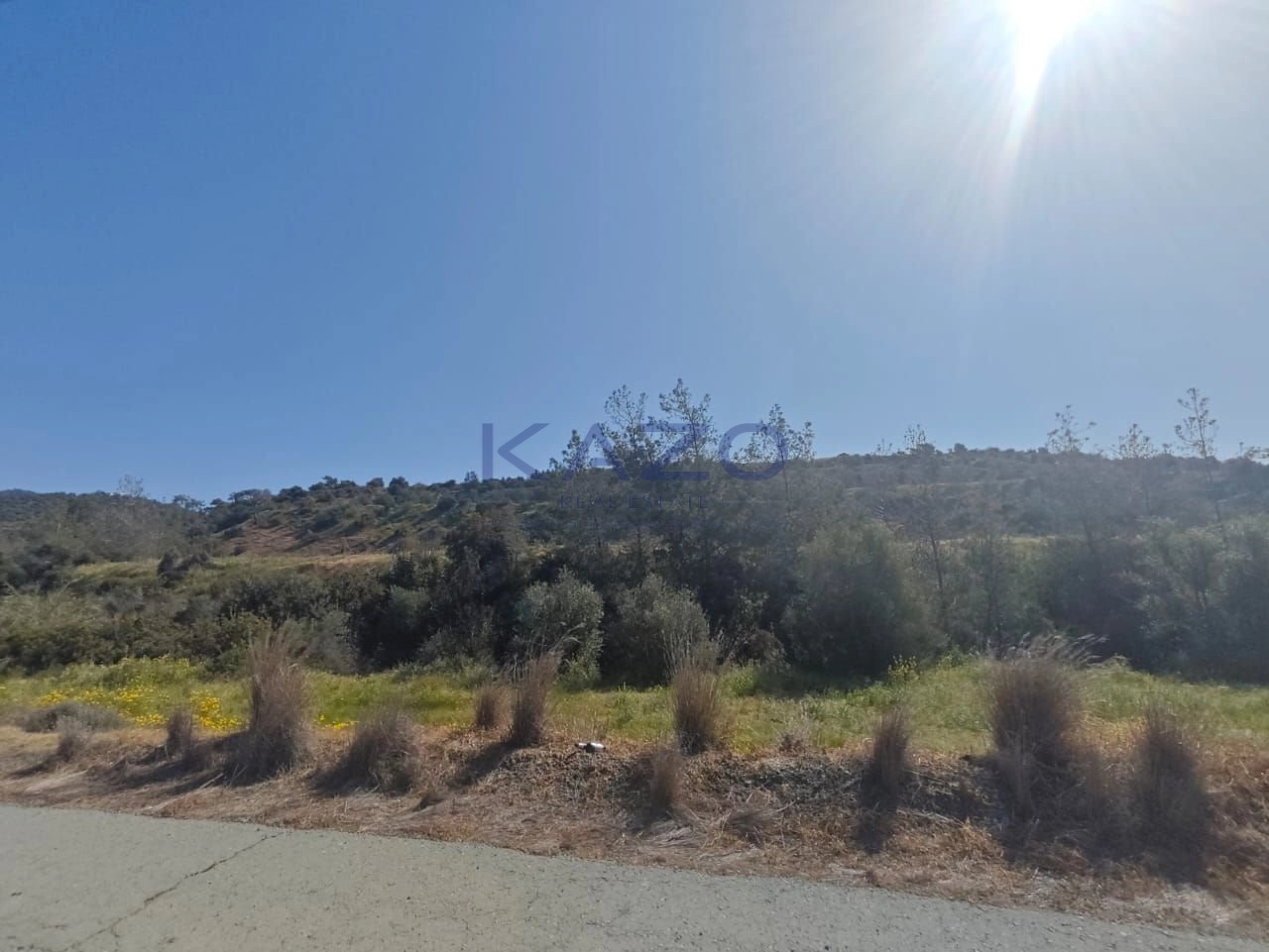 27,004m² Plot for Sale in Parekklisia, Limassol District