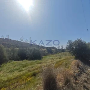 27,004m² Plot for Sale in Parekklisia, Limassol District