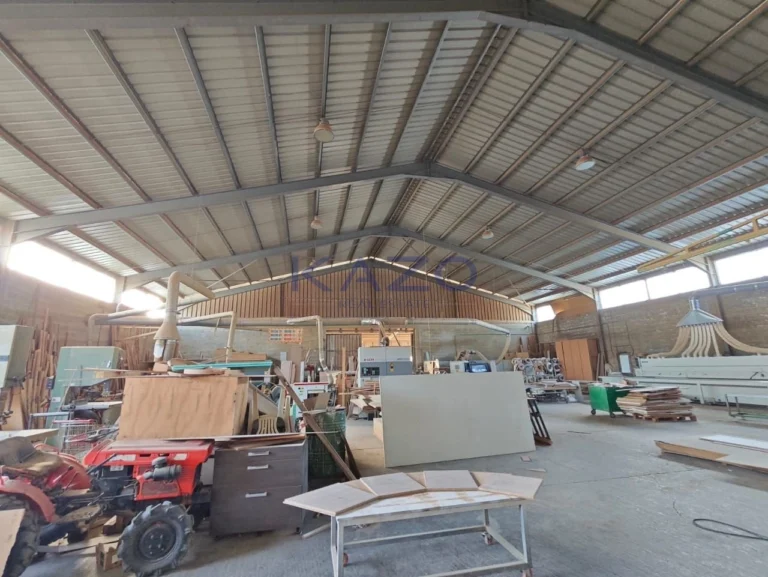 750m² Building for Sale in Ypsonas, Limassol District