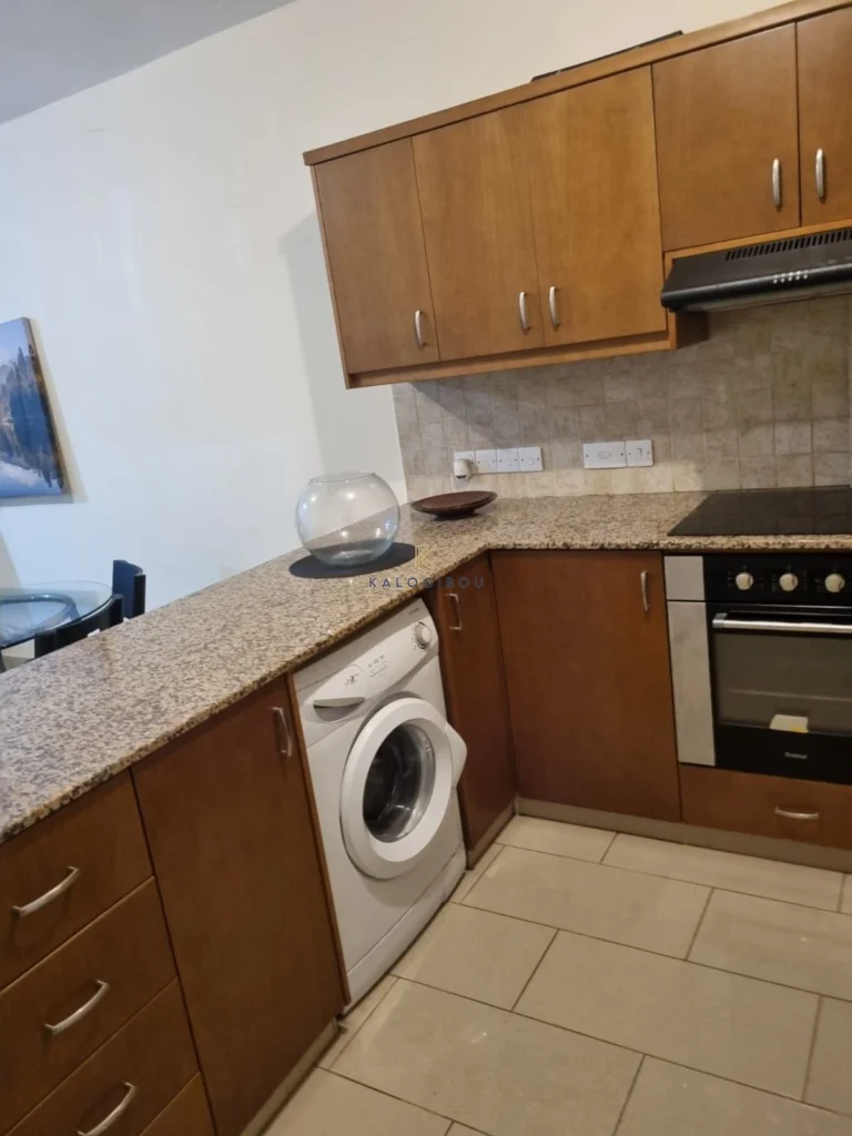 1 Bedroom Apartment for Rent in Tersefanou, Larnaca District