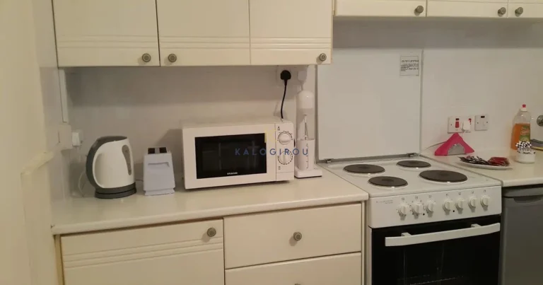 1 Bedroom Apartment for Rent in Larnaca District