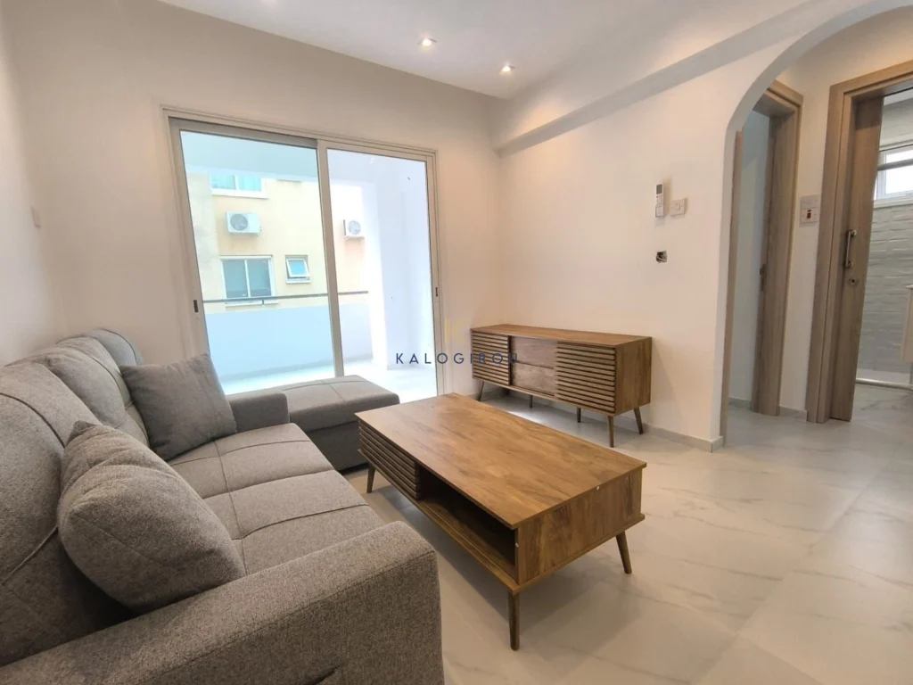 2 Bedroom Apartment for Rent in Larnaca District