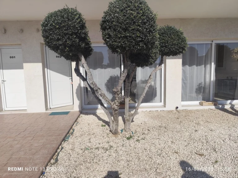 1 Bedroom Apartment for Rent in Limassol – Zakaki