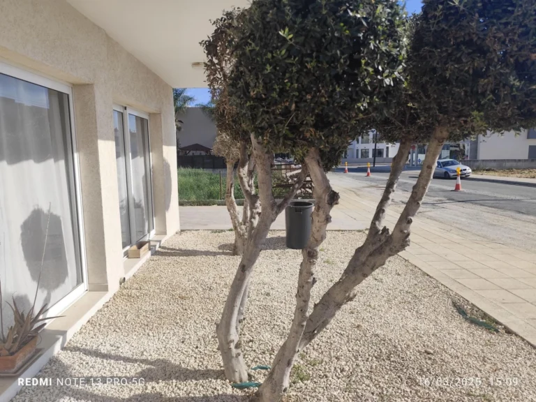 1 Bedroom Apartment for Rent in Limassol – Zakaki