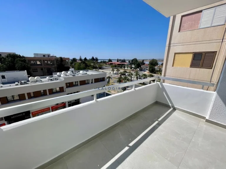 1 Bedroom Apartment for Rent in Larnaca District