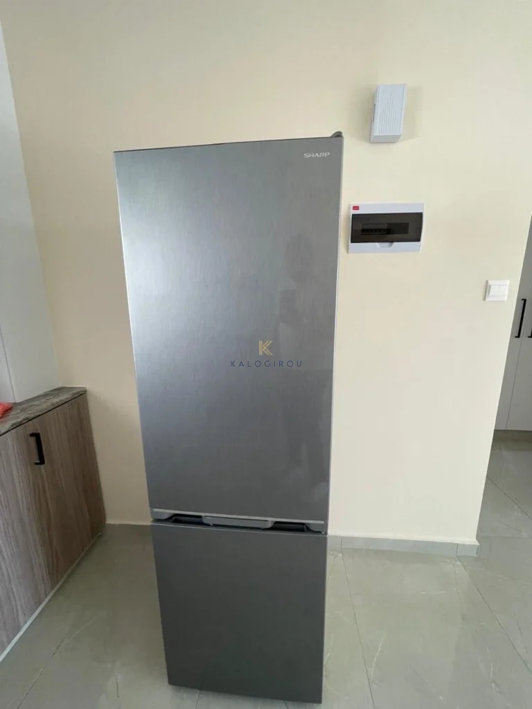 1 Bedroom Apartment for Rent in Larnaca District