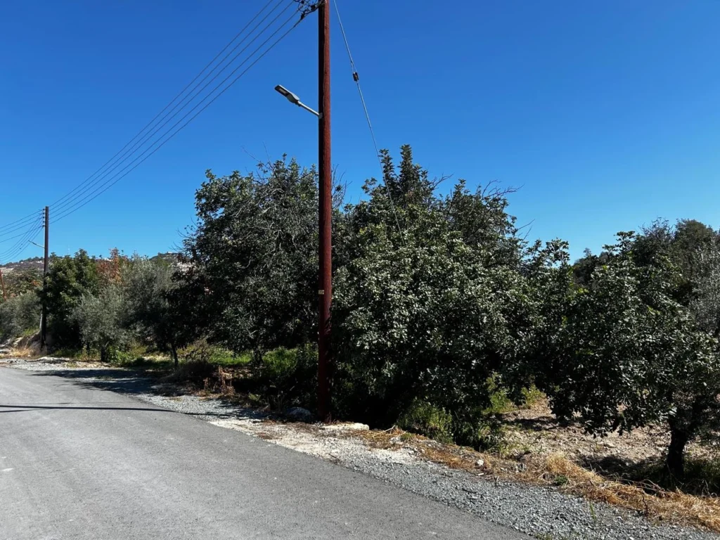 10,168m² Plot for Sale in Apesia, Limassol District