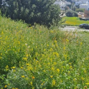 2,274m² Plot for Sale in Limassol – Agios Athanasios