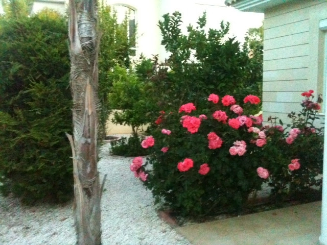 3 Bedroom House for Rent in Agios Tychonas, Limassol District