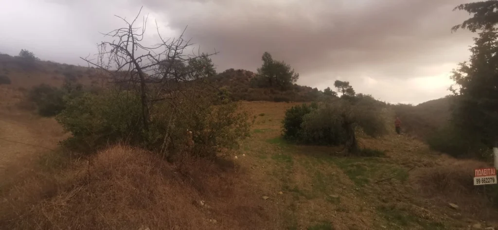 3,011m² Plot for Sale in Agios Therapon, Limassol District