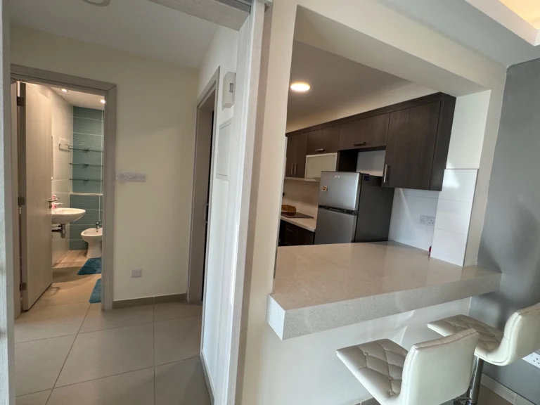 1 Bedroom Apartment for Rent in Limassol District
