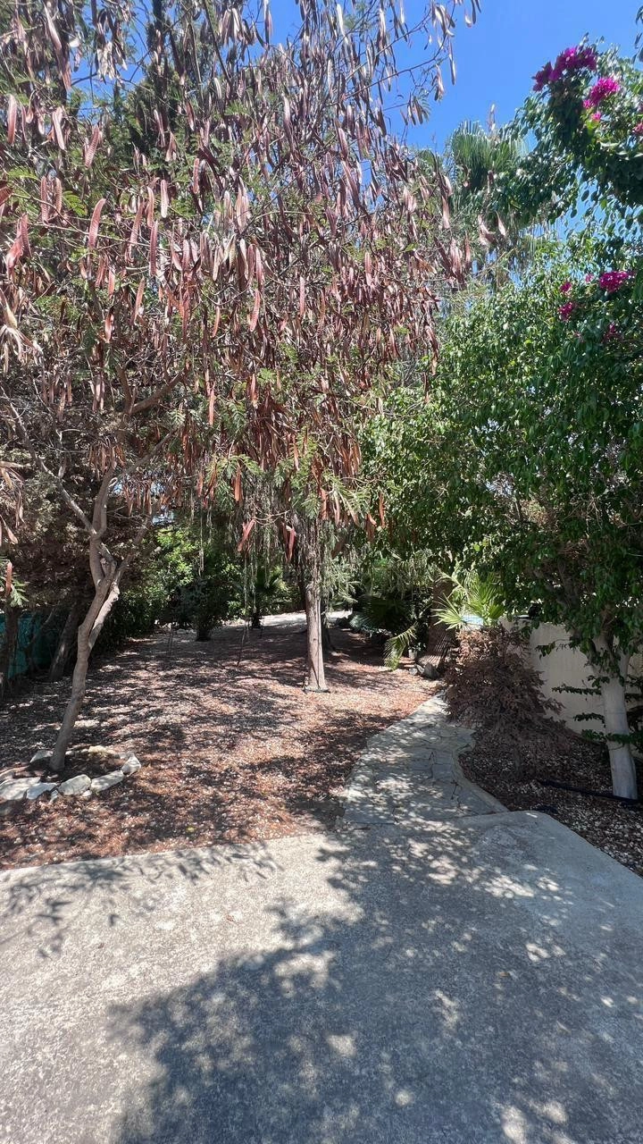 4 Bedroom House for Sale in Parekklisia, Limassol District