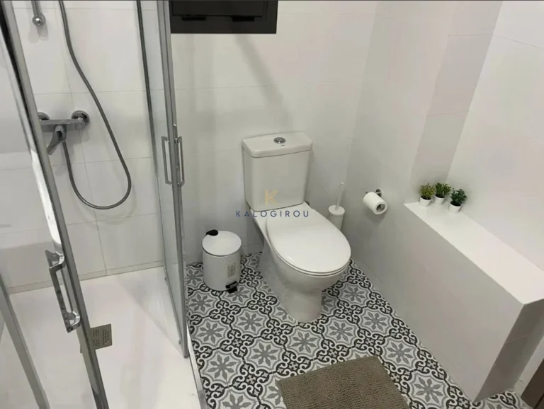 1 Bedroom Apartment for Rent in Larnaca District