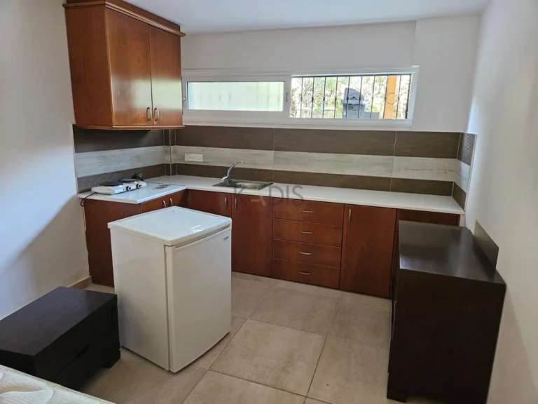 4 Bedroom House for Rent in Limassol – Panthea