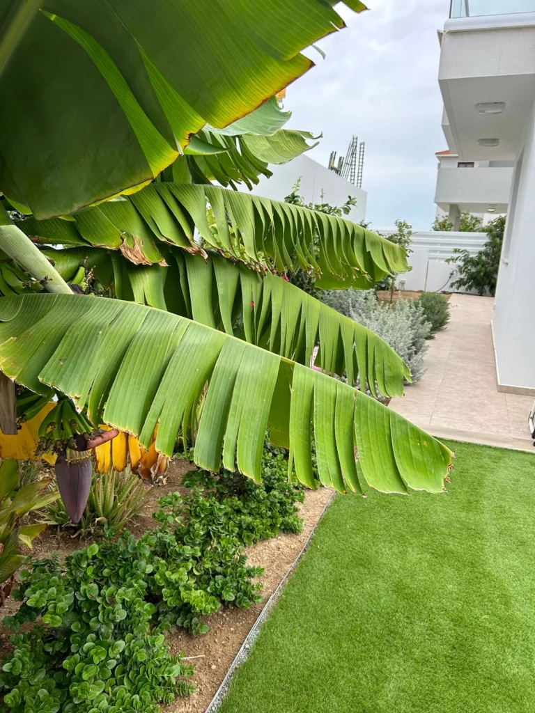 4 Bedroom House for Sale in Oroklini, Larnaca District