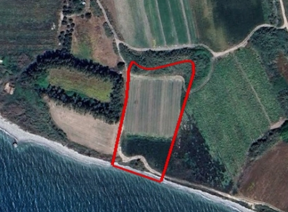 8,382m² Plot for Sale in Kouklia, Paphos District