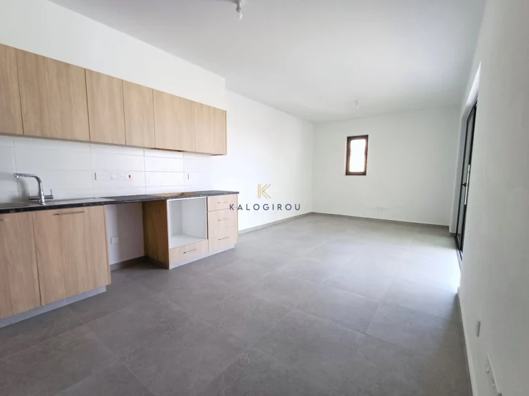2 Bedroom Apartment for Rent in Larnaca District