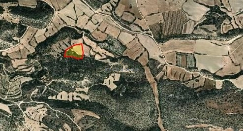 12,375m² Plot for Sale in Agios Theodoros, Larnaca District