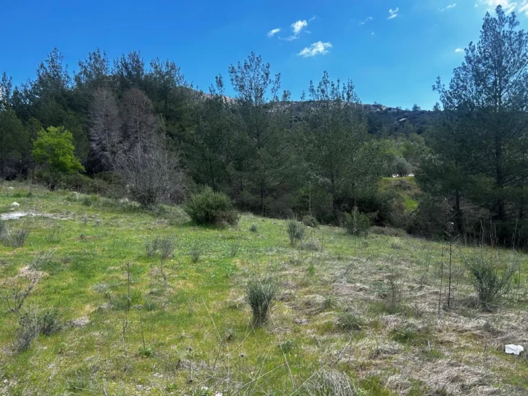 6,355m² Plot for Sale in Trimiklini, Limassol District