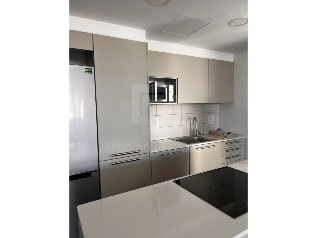 2 Bedroom Apartment for Rent in Aglantzia, Nicosia District