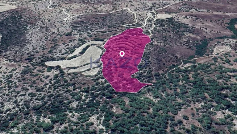 Paphos