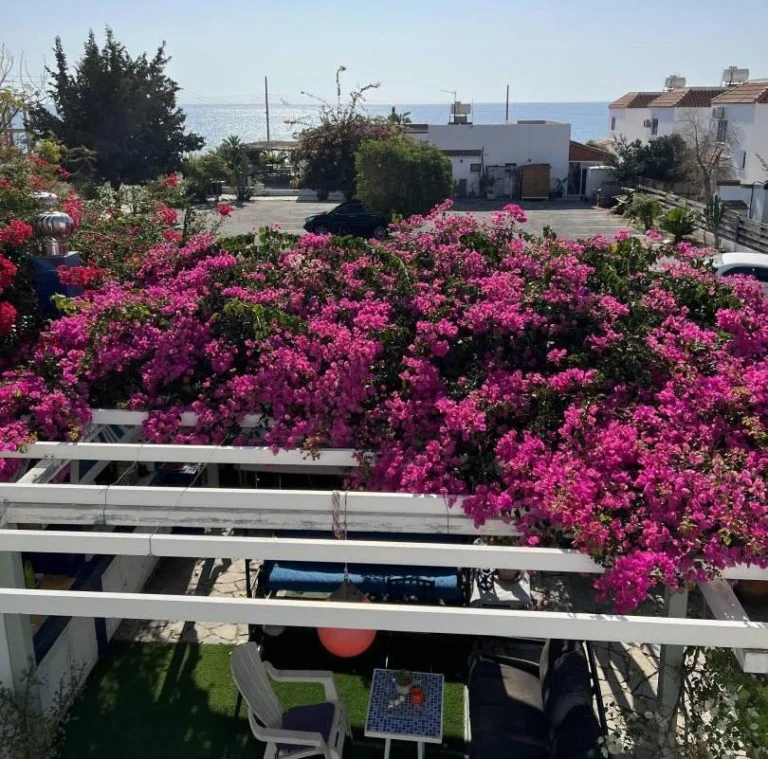 Larnaca