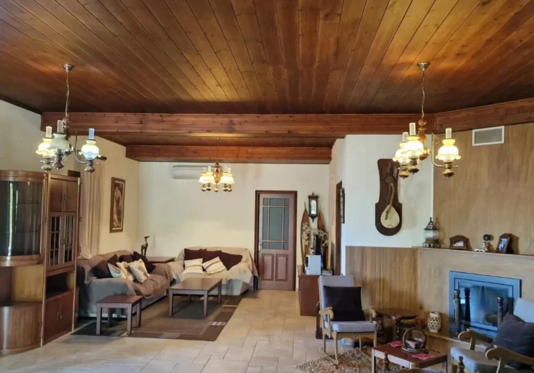 3 Bedroom House for Rent in Choulou, Paphos District