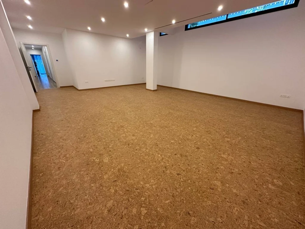 6+ Bedroom House for Rent in Souni, Limassol District