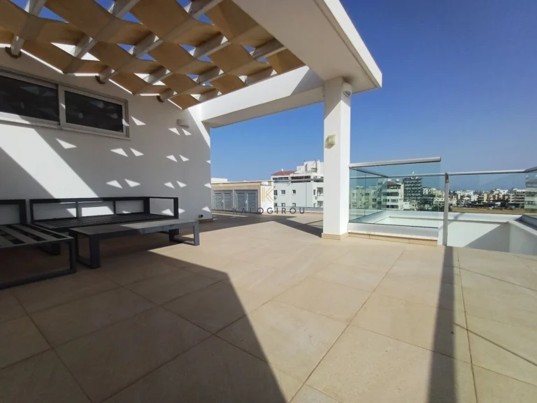 2 Bedroom Apartment for Rent in Larnaca District