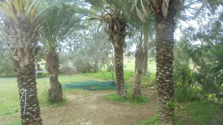 5 Bedroom House for Sale in Paralimni, Famagusta District