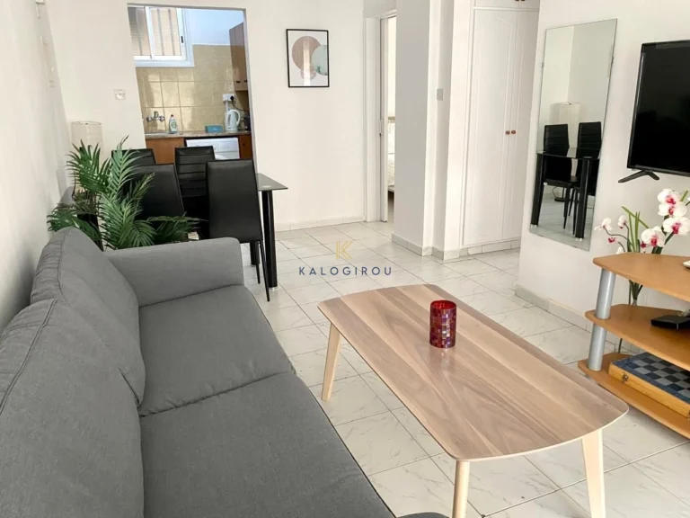 2 Bedroom Apartment for Rent in Larnaca District