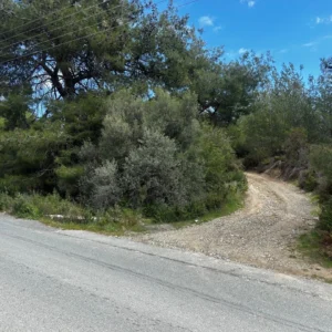 9,886m² Plot for Sale in Trimiklini, Limassol District